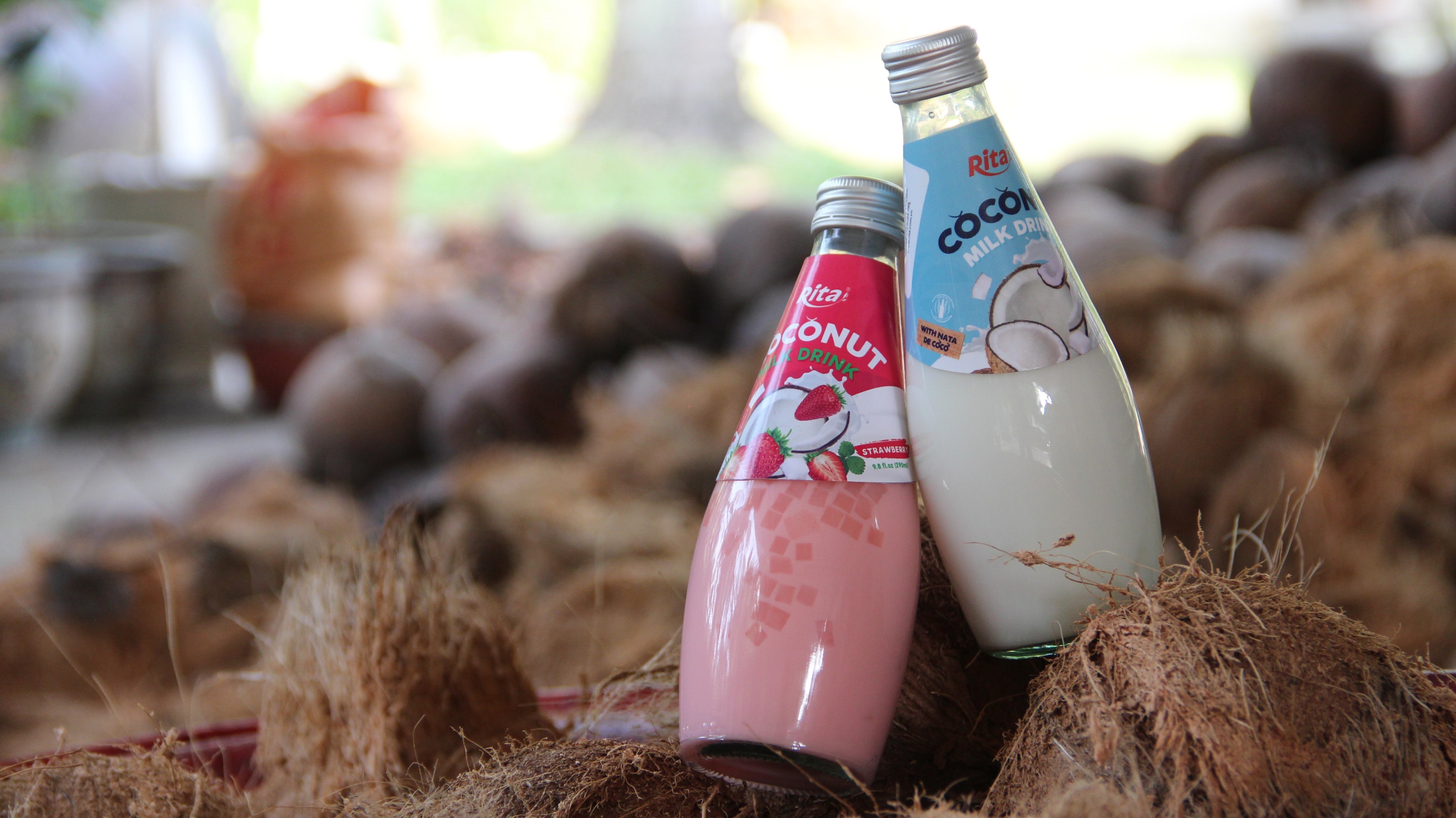 rita coconut milk with nata de coco