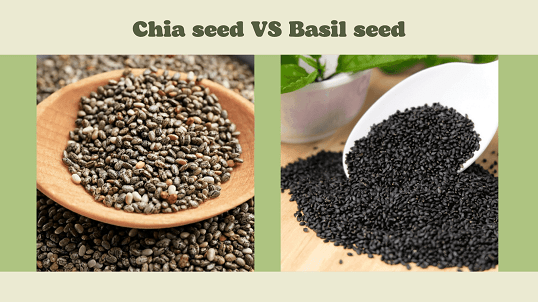 Chia Seed Drinks - The Refreshing Beverage Revolution