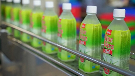 Insights into the Rita's Beverage Packaging Production Line