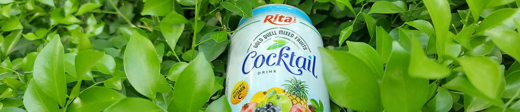 banner news rita beverage
