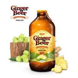 Ginger Beer 340ml glass bottle from RITA US