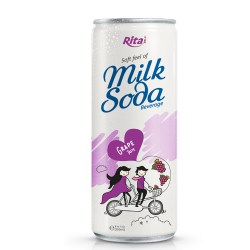 Soda Milk grape 250ml from RITA US