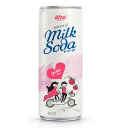 Soda Milk lychee 250ml from RITA US