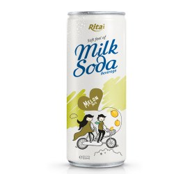 Soda Milk melon 250ml from RITA US