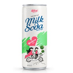 Soda Milk 250ml watermelon from RITA US