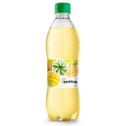 Beverage wholesale Sparkling  aloe vera  mango 500ml from RITA US